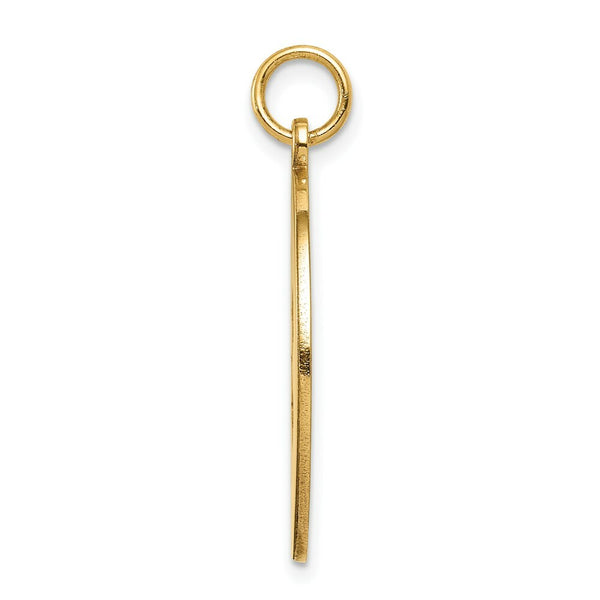 14K Yellow Gold Non-enameled Medical Jewelry Pendant