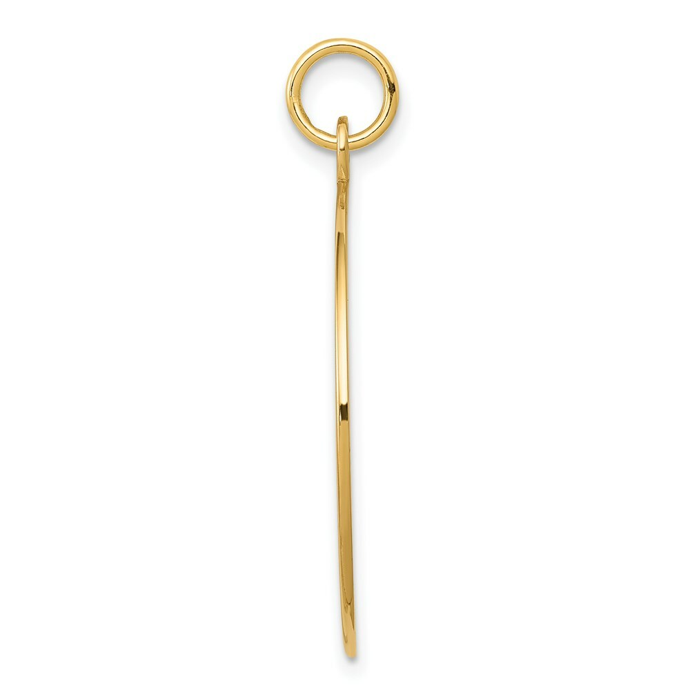 14K Yellow Gold Medical Jewelry Pendant