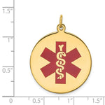 Load image into Gallery viewer, 14K Yellow Gold Medical Jewelry Pendant
