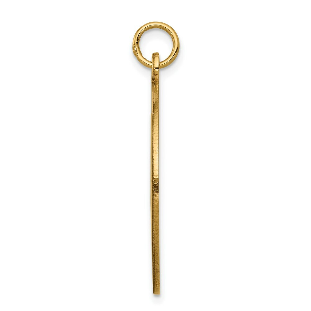 14K Yellow Gold Medical Jewelry Unenameled Pendant