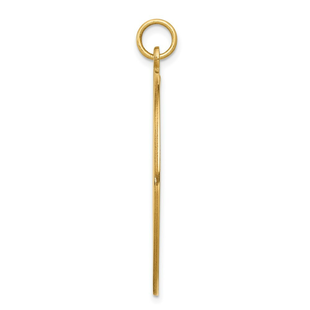 14K Yellow Gold Medical Jewelry Pendant