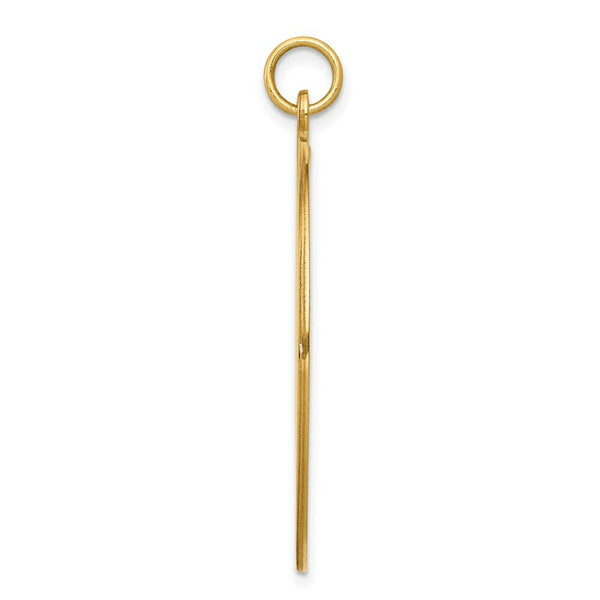 14K Yellow Gold Medical Jewelry Pendant