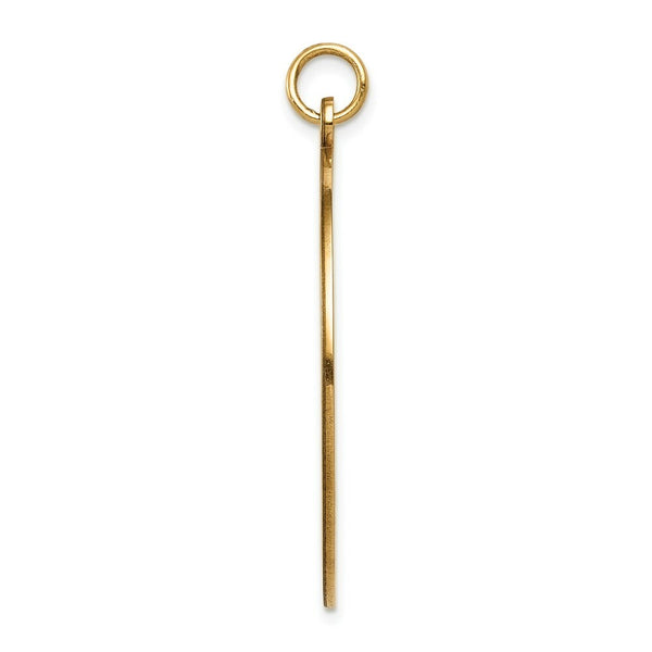 14K Yellow Gold Medical Jewelry Unenameled Pendant