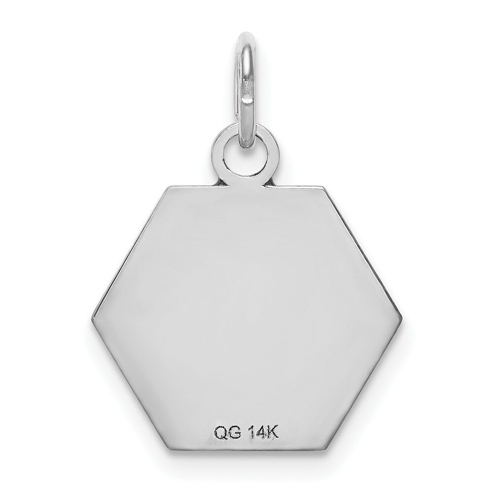 14K White Gold Medical Alert Jewelry Pendant