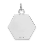 Load image into Gallery viewer, 14K White Gold Medical Alert Jewelry Pendant
