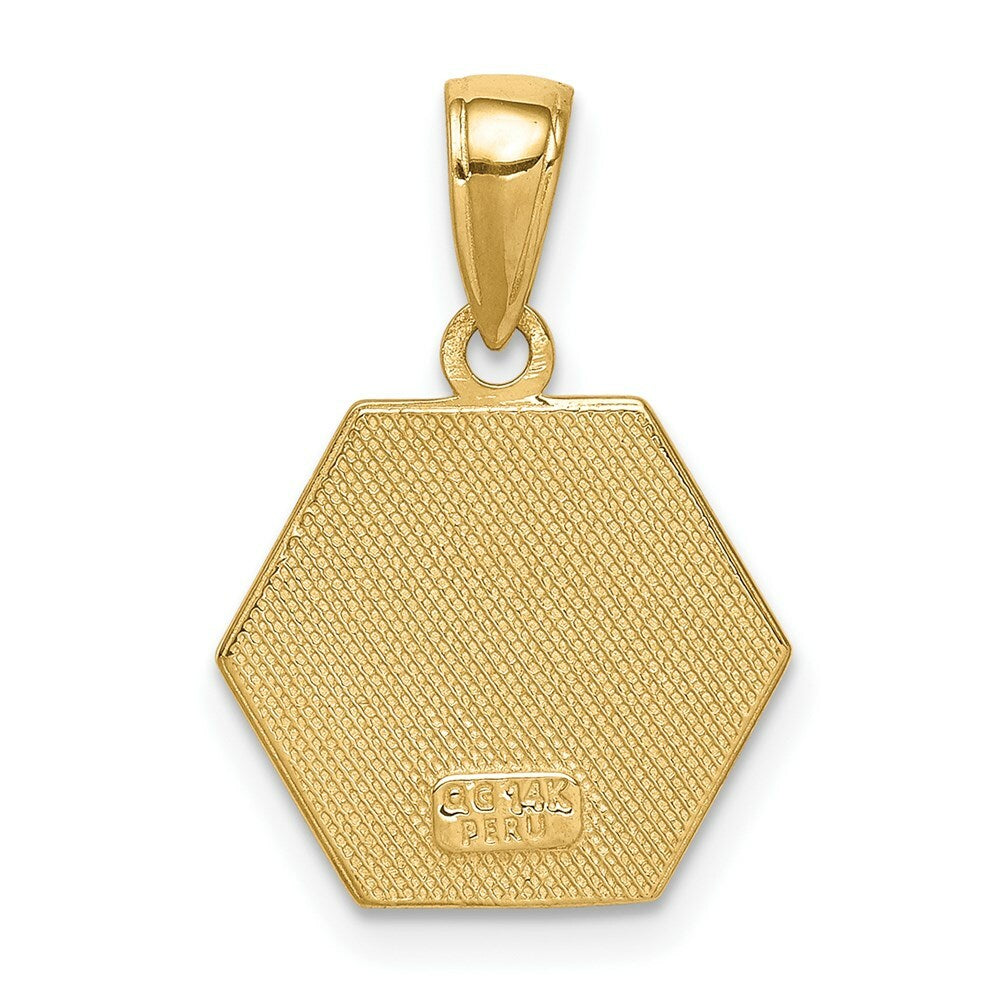 14K Yellow Gold Enameled Medical Disk Pendant