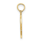 Load image into Gallery viewer, 14K Yellow Gold Medical Jewelry Symbol Charm Pendant
