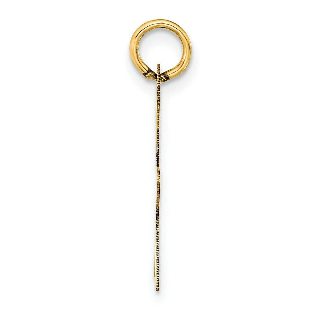 14K Yellow Gold Star Disc Charm Pendant  17mm width