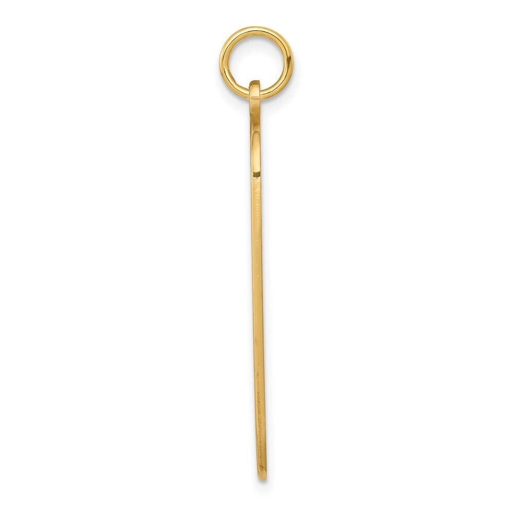 14K Yellow Gold Medical Jewelry Pendant