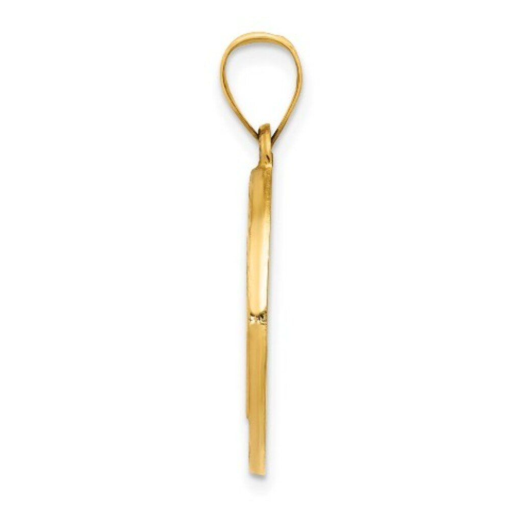 14K Yellow Gold Polished and Satin Medal Pendant 19mm width