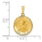 Load image into Gallery viewer, 14K Yellow Gold Polished and Satin Sacred Heart of Mary Medal Pendant 15mm width
