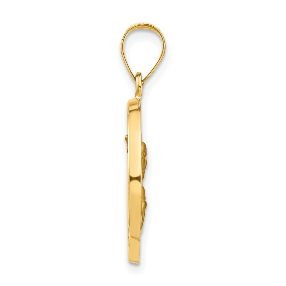 14K Yellow Gold Polished and Satin Queen of the Holy Scapular Reversible Medal Pendant 19mm width