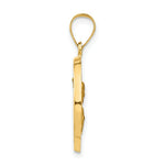 Load image into Gallery viewer, 14K Yellow Gold Polished and Satin Queen of the Holy Scapular Reversible Medal Pendant 19mm width
