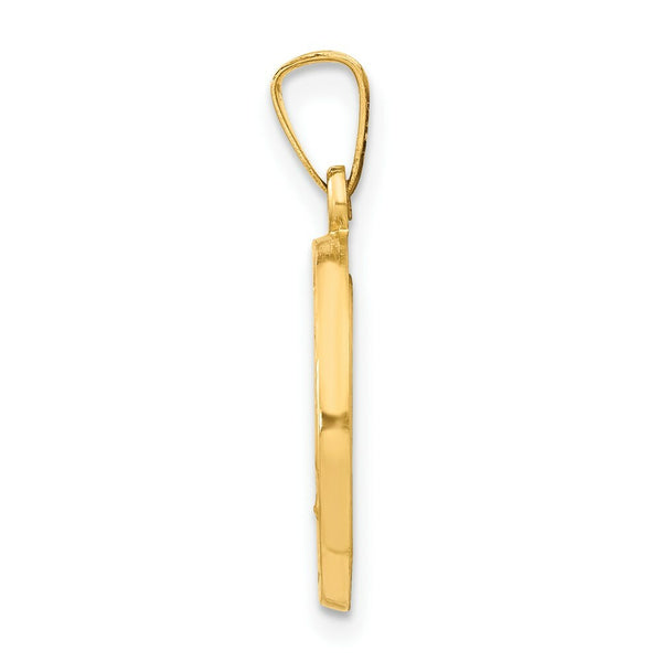 14K Yellow Gold Polished and Satin Miraculous Medal Pendant 15mm width
