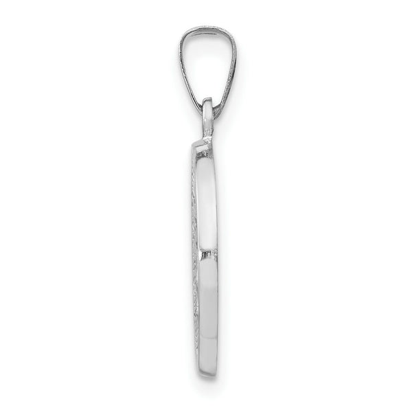14K White Gold Polished and Satin Miraculous Medal Pendant 15mm width