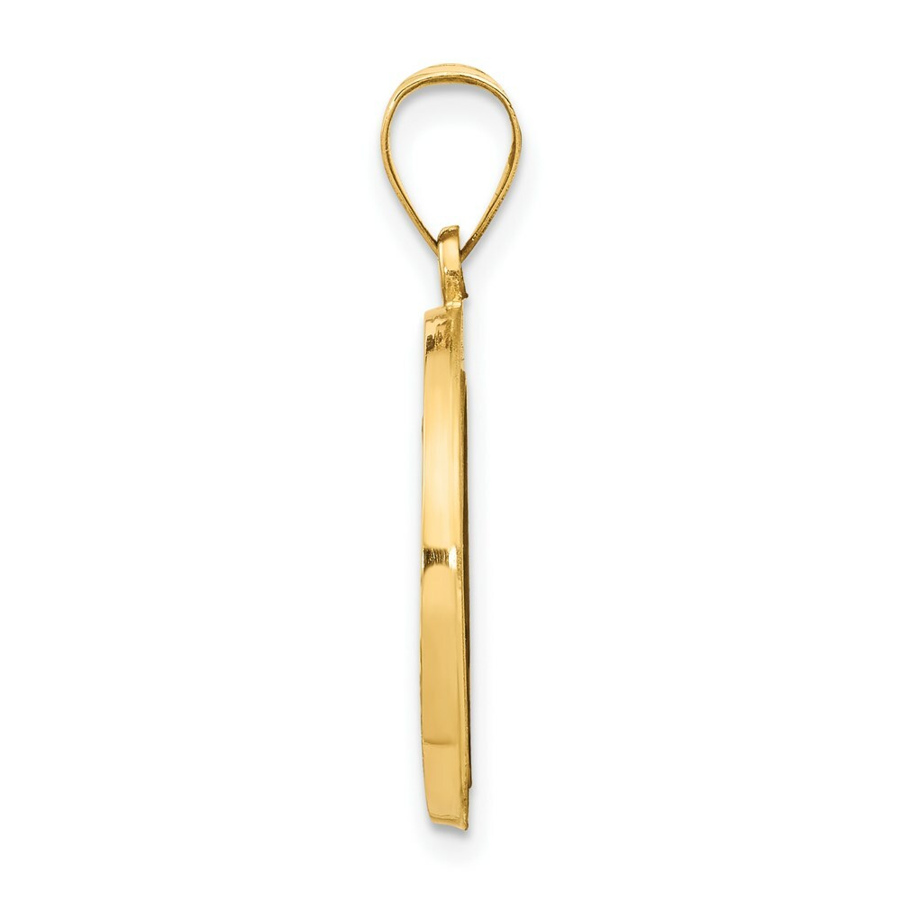 14K Yellow Gold Polished and Satin Miraculous Medal Pendant 18mm width