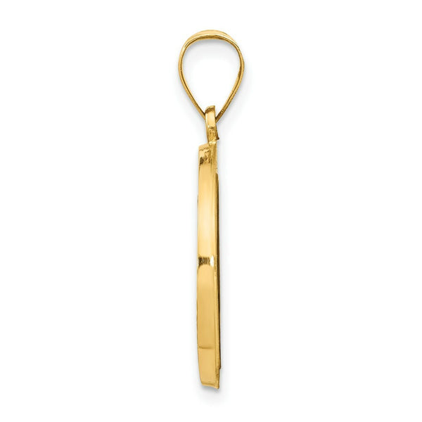 14K Yellow Gold Polished and Satin Miraculous Medal Pendant 18mm width