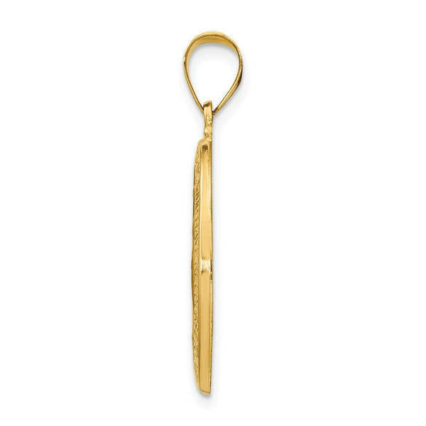 14K Yellow Gold Polished and Satin Miraculous Medal Pendant 15mm width