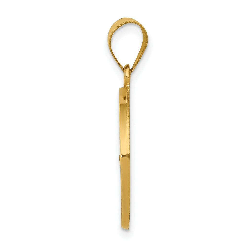 14K Yellow Gold Polished and Satin St. Francis Medal Pendant 20mm width