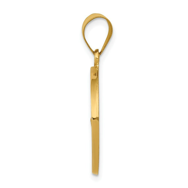 14K Yellow Gold Polished and Satin St. Francis Medal Pendant 20mm width