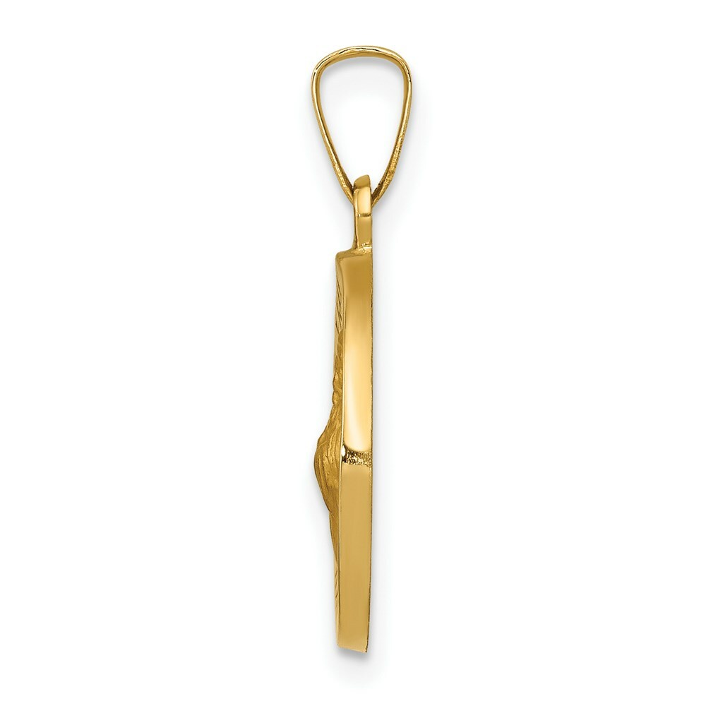 14K Yellow Gold Polished and Satin St. Francis of Assisi Medal Pendant 16mm width