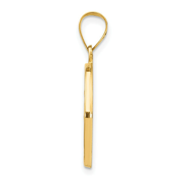 14K Yellow Gold Polished and Satin St. Luke Medal Pendant 19mm width