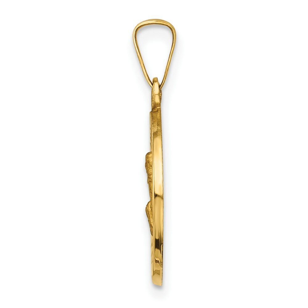 14K Yellow Gold Polished and Satin St. Peregrine Medal Pendant 15mm width