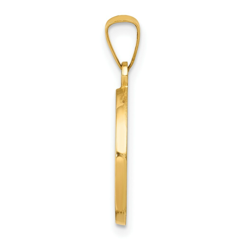 14K Yellow Gold Polished and Satin First Holy Communion Medal Pendant 15mm width