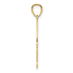 Load image into Gallery viewer, 14K Yellow Gold Polished Jesus Fish Pendant
