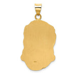 Load image into Gallery viewer, 14K Yellow Gold Hollow Polished/Satin Large Jesus Medal
