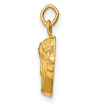 Load image into Gallery viewer, 14K Yellow Gold Hollow Polished/Satin Small Jesus Medal

