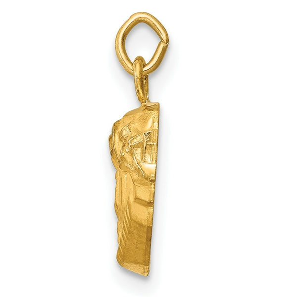 14K Yellow Gold Hollow Polished/Satin Small Jesus Medal