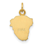 Load image into Gallery viewer, 14K Yellow Gold Hollow Polished/Satin Small Jesus Medal

