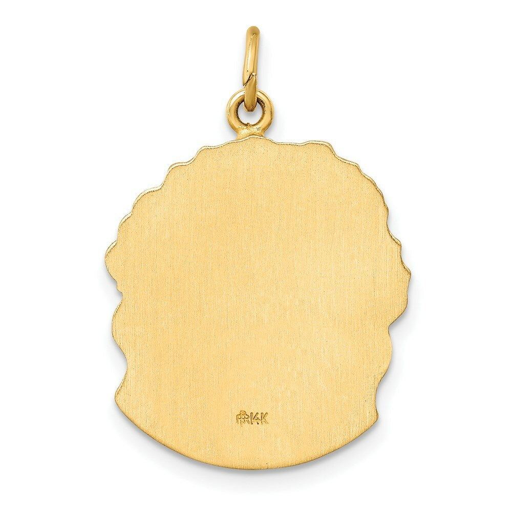 14K Yellow Gold Hollow Polished/Satin Medium Jesus Medal