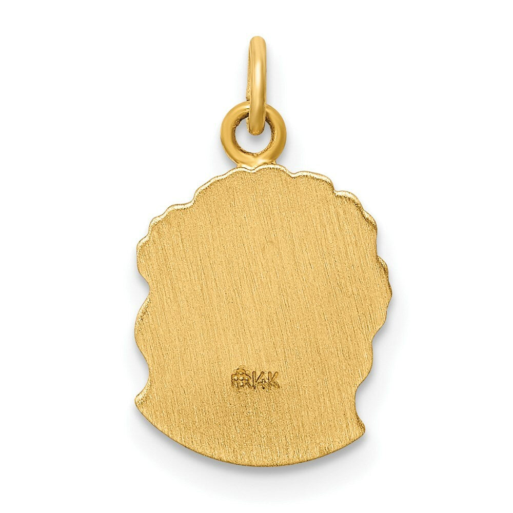 14K Yellow Gold Hollow Polished/Satin Small Jesus Medal