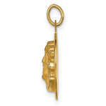 Load image into Gallery viewer, 14K Yellow Gold Hollow Polished/Satin Small Round Jesus Medal
