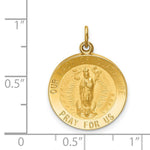 Load image into Gallery viewer, 14K Yellow Gold Solid Polished/Satin Round Our Lady of Guadalupe Medal
