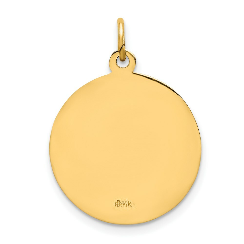 14K Yellow Gold Solid Polished/Satin Round Our Lady of Guadalupe Medal