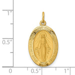 Load image into Gallery viewer, 14K Yellow Gold Solid Polished/Satin Oval Miraculous Medal
