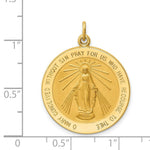 Load image into Gallery viewer, 14K Yellow Gold Solid Polished/Satin Round Miraculous Medal
