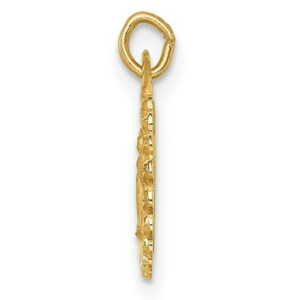 14K Yellow Gold Solid Polished/Satin Tiny Round Scalloped Miraculous Medal