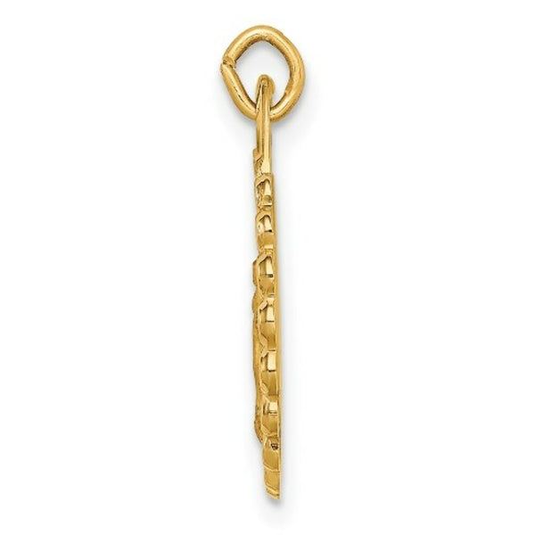 14K Yellow Gold Solid Polished/Satin Small Round Scalloped Miraculous Medal