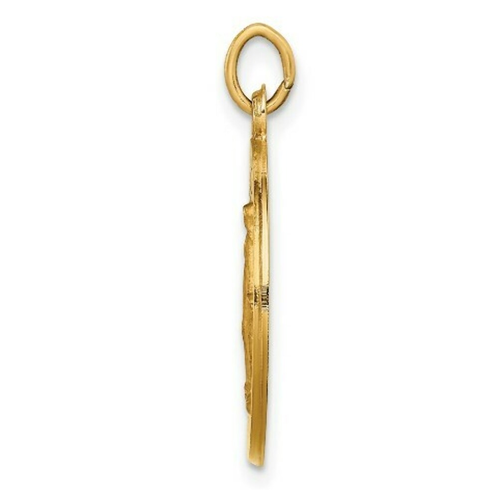 14K Yellow Gold Solid Polished/Satin Small Round Miraculous Medal