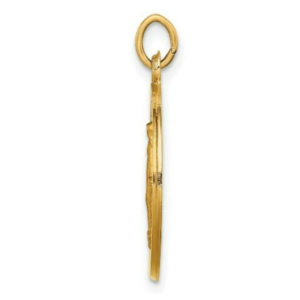 14K Yellow Gold Solid Polished/Satin Small Round Miraculous Medal