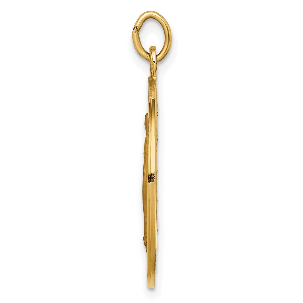 14K Yellow Gold Solid Polished/Satin Large Round Miraculous Medal