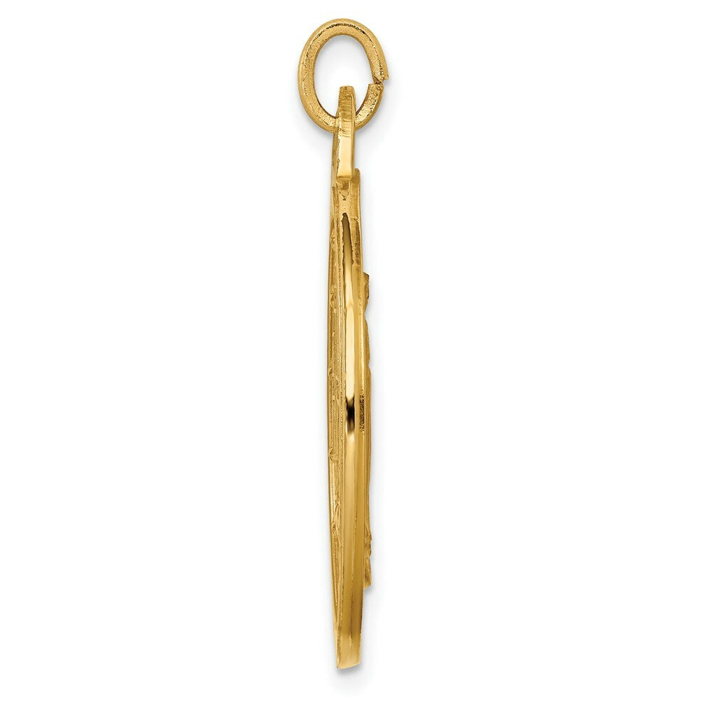 14K Yellow Gold Solid Polished/Satin Extra Large Round Miraculous Medal