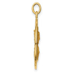 Load image into Gallery viewer, 14K Yellow Gold Solid Polished/Satin Large Queen of Holy Scapular Reversible Medal
