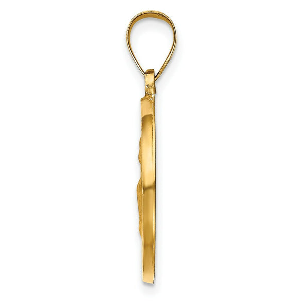 14K Yellow Gold Hollow Polished/Satin Round St. Augustine Medal