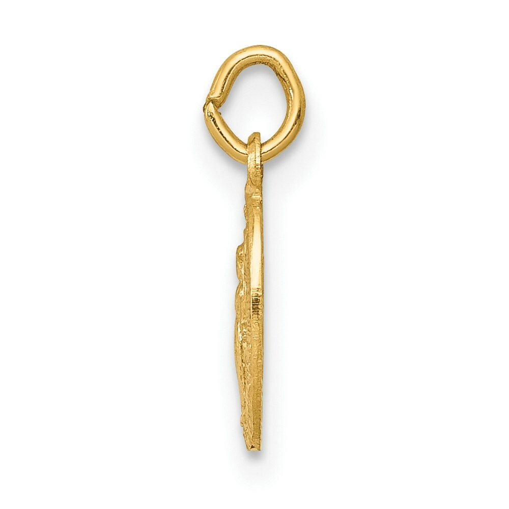 14K Yellow Gold Miraculous Medal Charm 7mm width