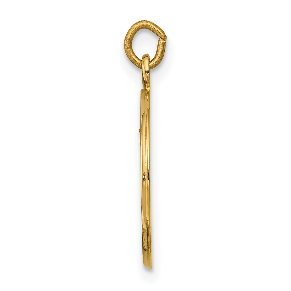 14K Yellow Gold Our Lady of Mount Carmel Medal Charm 15mm width